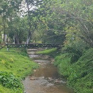 แจ้ซ้อนวินเทจ