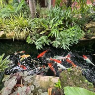 บ้านจิบ ที่บ้านกรูด บ้านกรูด