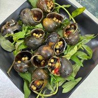 Ốc Pồ