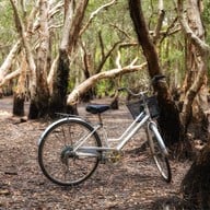 บรรยากาศ สวนพฤกษศาสตร์ระยอง