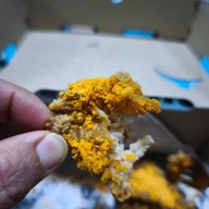 BHC Chicken (บีเอชซี ชิคเก้น) Delivery Hub ทองหล่อ