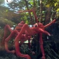 บรรยากาศ ล่องแก่งหนานมดแดง