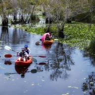 บรรยากาศ สวนพฤกษศาสตร์ระยอง