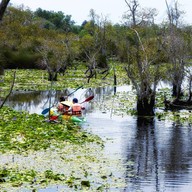 บรรยากาศ สวนพฤกษศาสตร์ระยอง