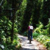 บรรยากาศ สวนพฤกษศาสตร์ระยอง