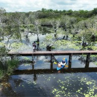 บรรยากาศ สวนพฤกษศาสตร์ระยอง