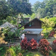 Pang-Hai Coffee Shop (ปางไฮคอฟฟี่ช็อป)