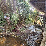 Pang-Hai Coffee Shop (ปางไฮคอฟฟี่ช็อป)