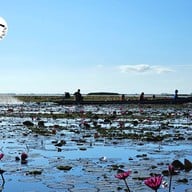 บรรยากาศ ทะเลน้อย