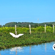 บรรยากาศ ทะเลน้อย