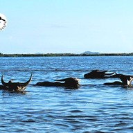 บรรยากาศ ทะเลน้อย