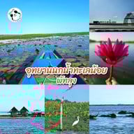 บรรยากาศ ทะเลน้อย