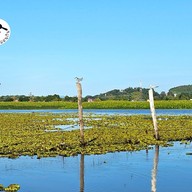 บรรยากาศ ทะเลน้อย