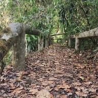 Pang-Hai Coffee Shop (ปางไฮคอฟฟี่ช็อป)