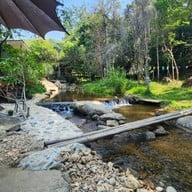 Pang-Hai Coffee Shop (ปางไฮคอฟฟี่ช็อป)