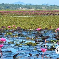 บรรยากาศ ทะเลน้อย