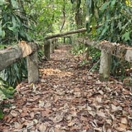 Pang-Hai Coffee Shop (ปางไฮคอฟฟี่ช็อป)