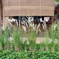 Mae wang mountain view -