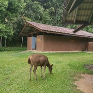 อุทยานแห่งชาติเขาใหญ่