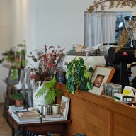 pal coffee | rama ll 18