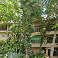 ปกาสัยรีสอร์ท