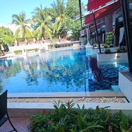 เรดจินเจอร์ชิครีสอร์ท