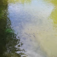 บรรยากาศ ศาลพันท้ายนรสิงห์