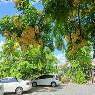 ครัวแล้วแต่คริส