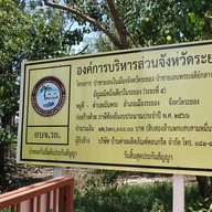 ป่าชายเลนพระเจดีย์กลางน้ำระยอง