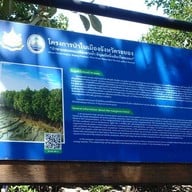 ป่าชายเลนพระเจดีย์กลางน้ำระยอง