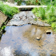 ริฟวิวเลท Rivulet Cafe