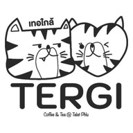Tergi -