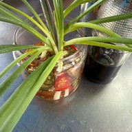 ข้าวหมูแดงหมูกรอบ หงษ์หยก