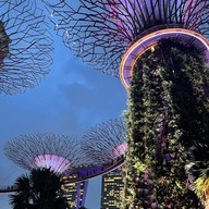 Gardens by the Bay