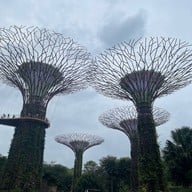Gardens by the Bay