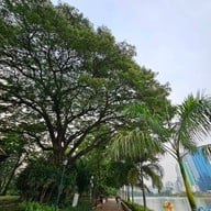 สวนเบญจกิติ