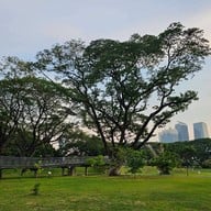 สวนเบญจกิติ
