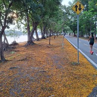 ศูนย์กีฬาทางน้ำบึงหนองบอน