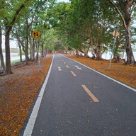 ศูนย์กีฬาทางน้ำบึงหนองบอน