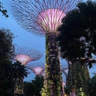 Gardens by the Bay