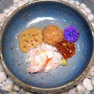 โคนิ โอมากาเสะ Coni Omakase