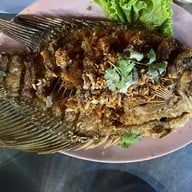 เรือนแพประมง