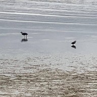 Seashell Village Resort