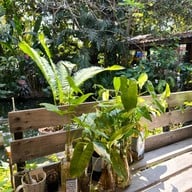 The BARN Coffee Lab : Specialty Coffee Roasters - HQ The BARN Coffee Lab : Specialty Coffee Roasters - HQ