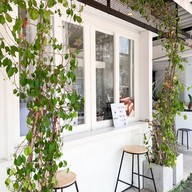 Not Too Sweet Bakery Cafe เชียงใหม่