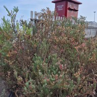 บรรยากาศ Salt Lake De Maeklong