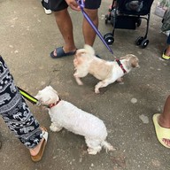 Mesook Farm (มีสุข ฟาร์ม)