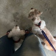 Mesook Farm (มีสุข ฟาร์ม)