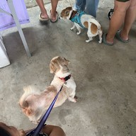 Mesook Farm (มีสุข ฟาร์ม)