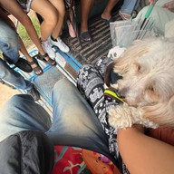 Mesook Farm (มีสุข ฟาร์ม)